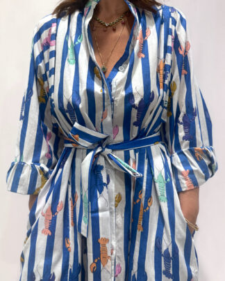 Robe Lobster Bleu, une robe longue rayée bleu. Une robe taille unique qui se ceinture à la taille. Des manches longues.