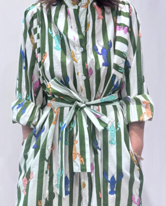 Robe Lobster Verte, une robe longue rayée verte. Une robe taille unique qui se ceinture à la taille. Des manches longues.